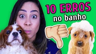 10 ERROS COMUNS AO DAR BANHO NO SEU CACHORRO [upl. by Grounds]