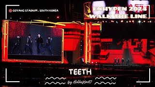 Teeth  ENHYPEN WALK THE LINE GOYANG FANCAM LIVE PERFORMANCE [upl. by Bellaude]