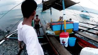 Wow Grabe Ang Jackpot sa mga Mamahaling Isadang Huli fishing fish viralvideo [upl. by Ominoreg227]