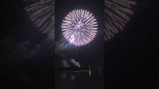 810quotinch JAPAN display shell sunflower ghost willow amp wave seriesvuurwerk fireworks pyro [upl. by Merrilee608]