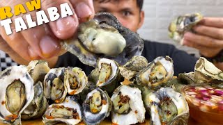 FRESH TALABA OYSTER MUKBANG WITH CHILLI OIL AND SPICY VINEGAR [upl. by Viviyan]