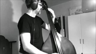 A gogobass cover [upl. by Honora]