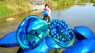 😱🎁The girl discovered a giant blue clam filled with sparkling blue pearls beautiful and charming [upl. by Alegnatal163]