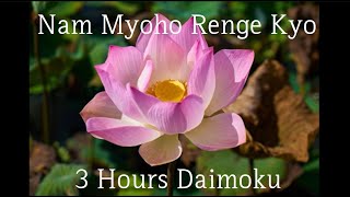 Nam myoho renge kyo 3 hours Diamoku [upl. by Laden722]