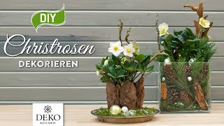 DIYWeihnachtsdeko Christrosen effektvoll dekorieren How to Deko Kitchen [upl. by Sandler]