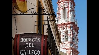 Bodegón del Gallego Ecija Sevilla [upl. by Aihsikal]