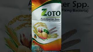 Azotobacter spp zoto free living nitrogen fixing bacteria DKM [upl. by Yblok]