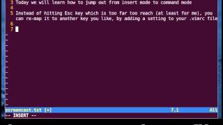 Vim Tutorial  From Insert Mode into Command Mode [upl. by Anjali910]