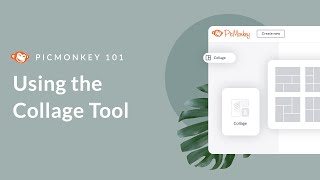 PicMonkey 101  Using the Collage Tool [upl. by Shira]