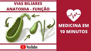 Vias Biliares Anatomia e Fisiologia [upl. by Nawak861]