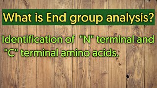 What is End group analysis  Identification of N  terminal amp C  terminal amino acids [upl. by Spoor]