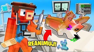 👨‍⚕️ ZOSTAŁEM WETERYNARZEM W MINECRAFT 🐶  RATUJĘ ZWIERZĘTA [upl. by Mathi]