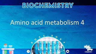 L4 Amino acid metabolism  Glutamic acid Glutamine Aspartic acid Asparagine Biochemistry [upl. by Annohs546]