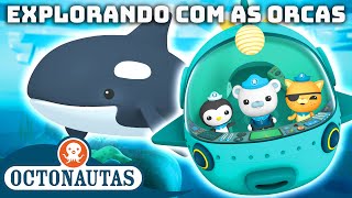 Octonautas  🤿 Explorando com as Orcas 🐳  Compilação  Episódios inteiros [upl. by Becky]