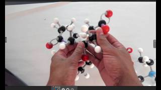 Phospholipid Structure using models [upl. by Aniloj37]