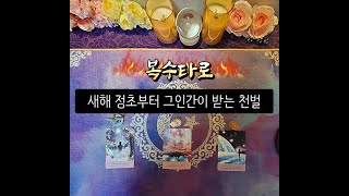 🔥복수타로⚡🔥💀그 사람이 받을 벌☄🔥😱 타로 타로리딩 타로카드 타로운세 운세 사랑 연애 재회 행운 심리 상담 조언 커플 복수 보복 천벌 벌 범죄 [upl. by Isbel]