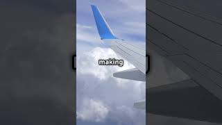 Why Airplanes Have Curved Wing Tips [upl. by Nennahs]