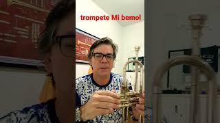 Trompete em Mi bemol [upl. by Montanez]