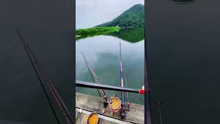 Bộ đồ câu mơ ước fishing fish carpfishing fishinglife cauca bassfishing funny carp food [upl. by Yendyc]