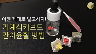 간이윤활도 이젠 제대로  기계식키보드 간이윤활 방법 [upl. by Nick]