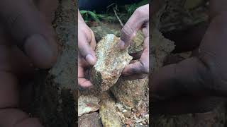 Cracking Rocks for Massive Gold Finds 🤔😲💎 Gold Crystals Gems Rockhounding [upl. by Bonar]