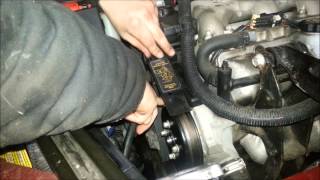 serpentine belt install 31 34 v6 [upl. by Eirised]