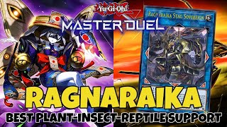 NEW RAGNARAIKA CARDS MAKE BEETROOPER DECK SO MUCH BETTER YuGiOh Master Duel [upl. by Thin552]