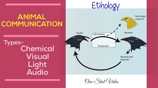 Animal CommunicationChemical Visual Light and AudioBsc MscEthologyAnimal BehaviourOneShot [upl. by Manvel]