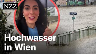 Hochwasser in Wien Nicht die Donau ist das Problem – sondern der Wienfluss [upl. by Nosnevets]