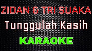 Zidan Ft Tri Suaka  Tunggulah Kasih Karaoke  LMusical [upl. by Heber49]