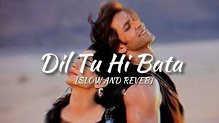 Dil Tu Hi Bata  slowed reverb  Krish 3  Hrithik Roshan  lofi 🎧 [upl. by Uttica869]