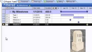 Milestone Tracking [upl. by Wooster]