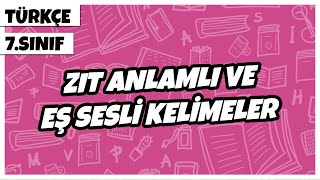 7 Sınıf Türkçe  Zıt Anlamlı ve Eş Sesli Kelimeler  2022 [upl. by Lethia]