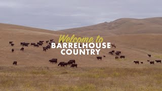 Welcome to Barrelhouse Country [upl. by Lertram]