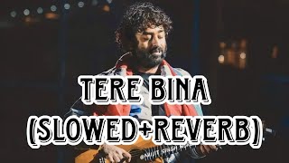 Tere Bina  Lofi SlowedReverb  Arijit Singh  Aakansha Sharma [upl. by Guibert656]