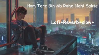 Hum tere bin ab reh nahi sakte  Hindi sudabhar Song  Hindi Mashup Slowedreverb music [upl. by Gamaliel]