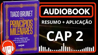 AudioBook  Princípios Milenares  Capítulo 2 Resumo do Livro resumodelivros audiobook [upl. by Detta]