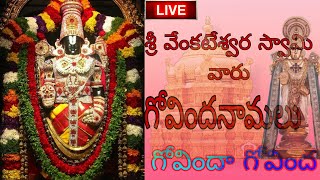 trending trendingshorts viral tirupatilove govindanamalu astrologysrichakrarajanilayam [upl. by Morice]