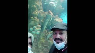 The Biggest Fakieh Aquarium In JeddahSaudi Arabiashorts [upl. by Fred300]