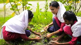 Tree Plantation by Nazirar Tek Mukti School [upl. by Leksehcey]