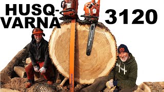 Husqvarna 3120XP Chainsaw with a 60quot bar  MASSIVE [upl. by Blumenthal]