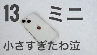 【迷ったら×】iPhone13ミニを11ヶ月使ってのレビュー【2023年】 [upl. by Hestia]