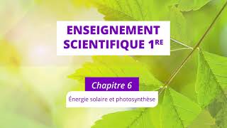 Énergie solaire et photosynthèse Enseignement scientifique 1re [upl. by Ardnasyl]