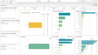 Qlik App Analyzer  Demo [upl. by Gentilis402]