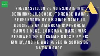 What Does It Mean To Be Boosie [upl. by Lombardy670]