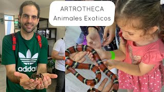 Animales Exoticos en Lima  Artrotheca Lima Peru [upl. by Annaeerb]