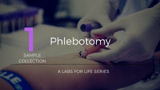 Phlebotomy [upl. by Maxey]