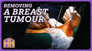 Cutting Death Out Inside the Operating Room with a Breast Cancer Surgeon  Hidden Hustles Ep 41 [upl. by Srednas]