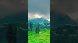 Pashto Song  Da Laweenay Mena Da Zar Shum  💖🌹🌹 shorts public pashtosong love youtubeshorts [upl. by Amadus]