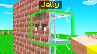 I Caught Jelly Using A CAMO BLOCK In Minecraft Hide amp Seek [upl. by Ttocs644]